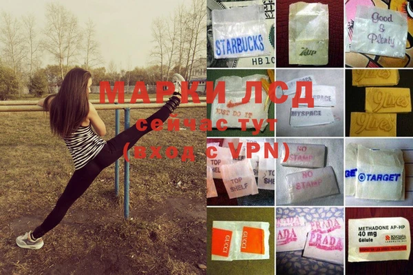 гидра Лагань