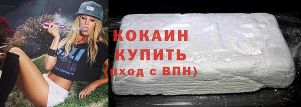 гидра Лагань