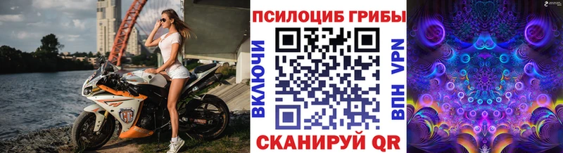 Псилоцибиновые грибы Psilocybe закладки Тарко-Сале